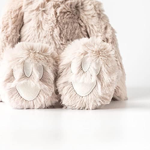 Slumberkins 14" Sloth Kin & 2 Board Books Complete Set Bundle | Promotes Routines, Relaxation & Coping Skills | Social Emotional Learning, Ages 0+ (Sloth Kin Plush + 2 Board Books)