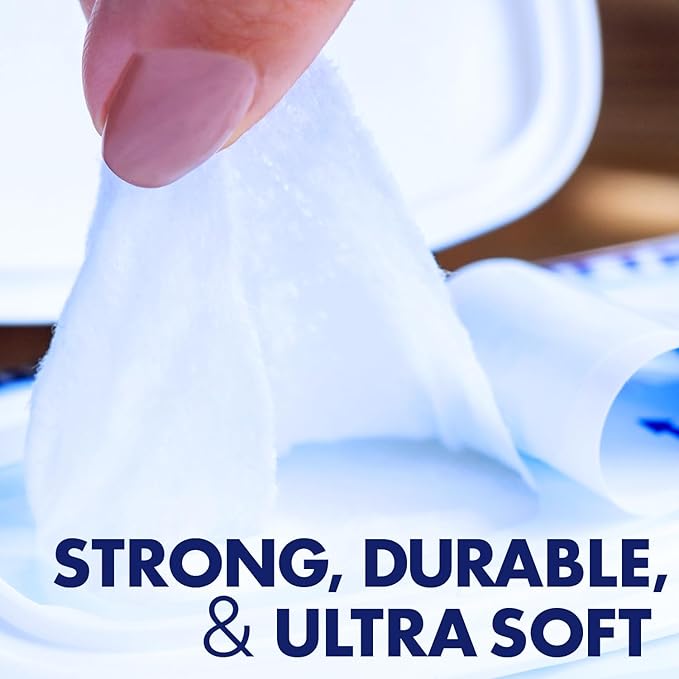 Homecare Pro Oversized Daily Cleansing Adult Wipes With 6 Moisturizers Wet Cleansing, Rinse Free, Bathing Wipes, Hospital Grade pH Balanced for Fragile Skin - | 48 Count XL |- 1 Pack