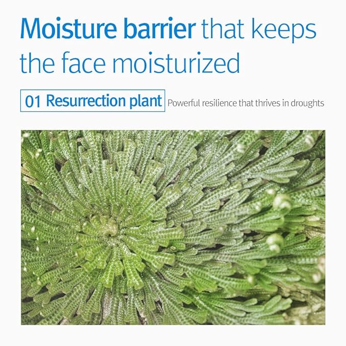 Pyunkang Yul PKY Kids & Baby Cream 400 milliliters (13.52 fluid ounces) / Moisturizer without worrying about irritation