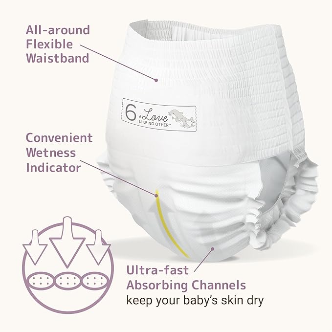 Bambo Nature Hypoallergenic Training Pants, Eco-Labeled Training Pants, Totally Chlorine-Free - Size 6 (19 Count)