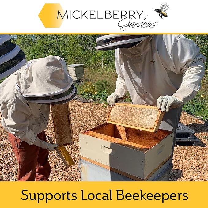 Mickelberry Gardens Herbal Baby Salve – Organic Diaper Rash Cream with Calendula & Beeswax – Natural Soothing Ointment for Sensitive Skin, Eczema & Dryness (1 oz)