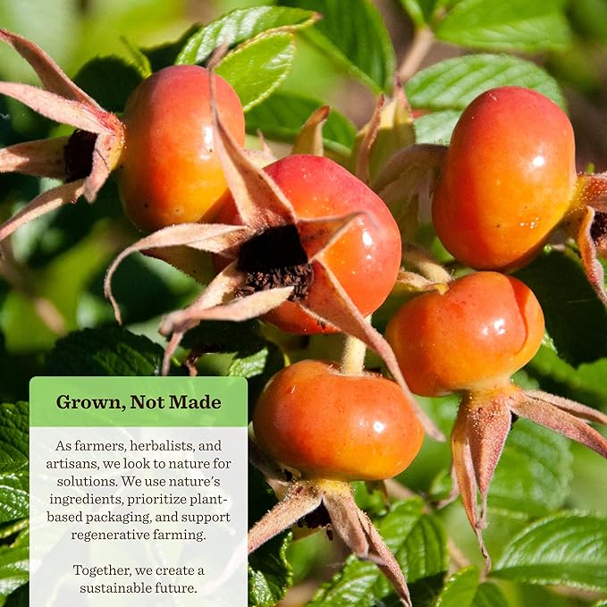 Moon Valley Organics Eczacalm, Eczema and Psoriasis Cream, Herbal Skincare Ointment for Dry and Itchy Skin, Lotion with Colloidal Oats, Beeswax, and Aloe Vera, 1.7 oz