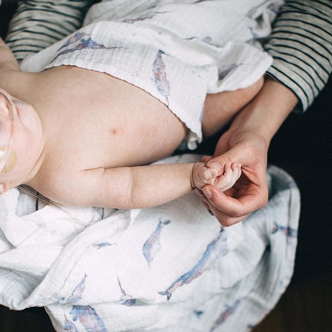 Little Unicorn Premium Cotton Swaddle Baby Blanket | Breathable Fabric | for swaddling, Play, Nursing & More (Narwhal)